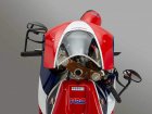 Honda RC213V-S / RC213V-S (with kit)